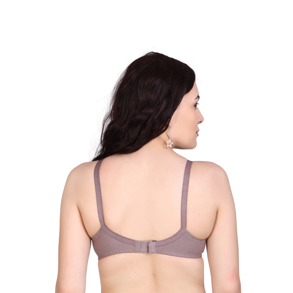 Premium Seamed Full Coverage Bra – Mauve/Mouse, Non-Wired, Everyday Support hover