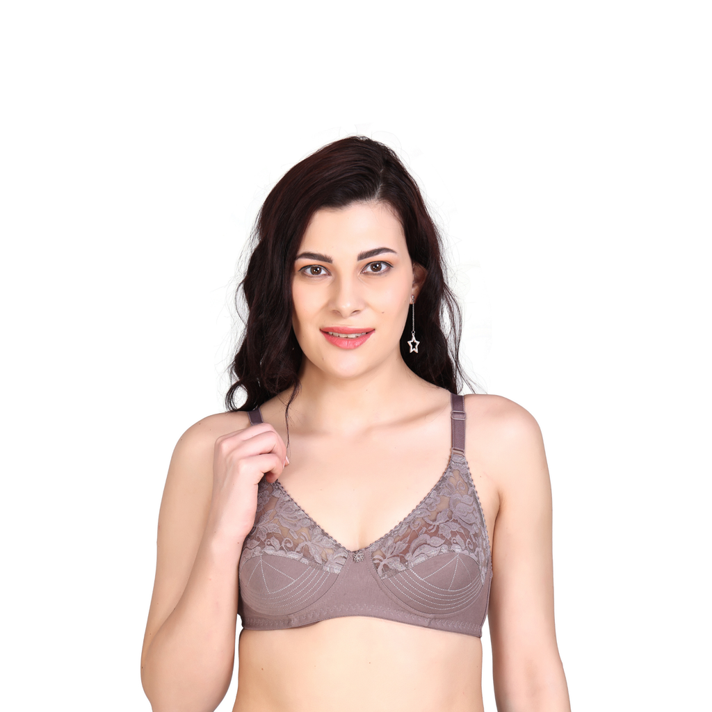 Premium Seamed Full Coverage Bra – Mauve/Mouse, Non-Wired, Everyday Support